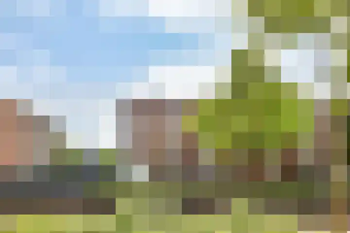 IJburglaan 680 Amsterdam thumbnail 4