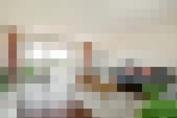 IJburglaan 680 Amsterdam thumbnail 7