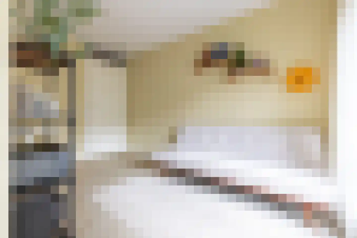IJburglaan 687 Amsterdam thumbnail 17