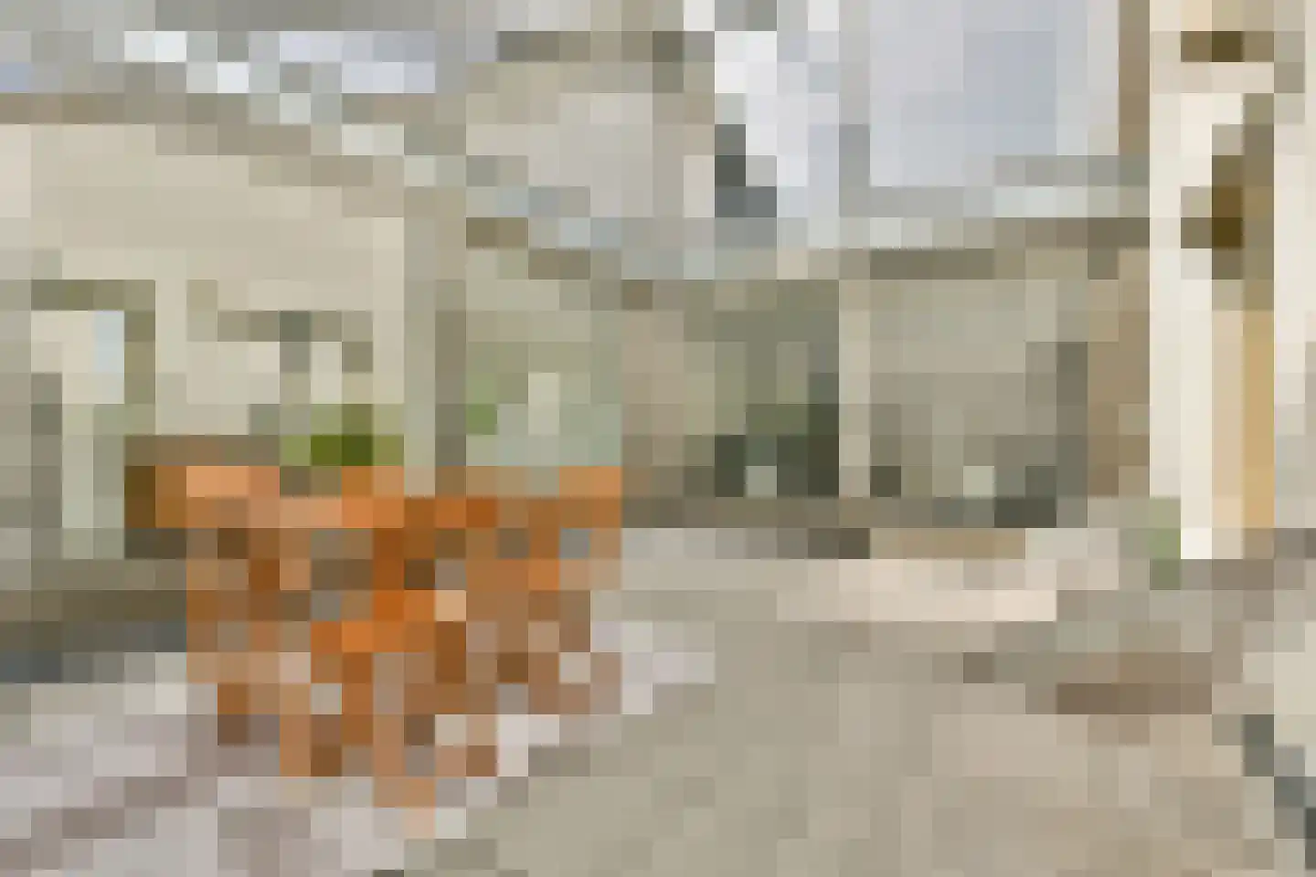 IJburglaan 703 Amsterdam thumbnail 23