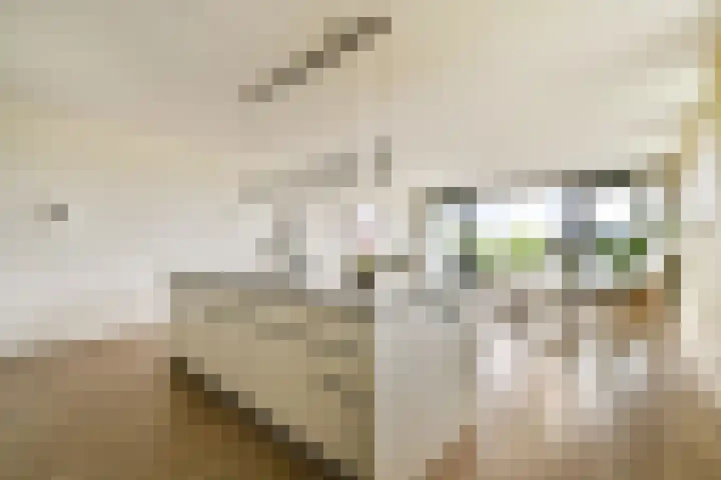 IJburglaan 728 Amsterdam thumbnail 8
