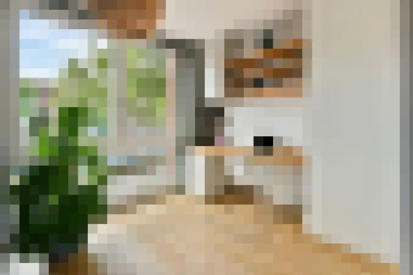 IJburglaan 753 Amsterdam thumbnail 20