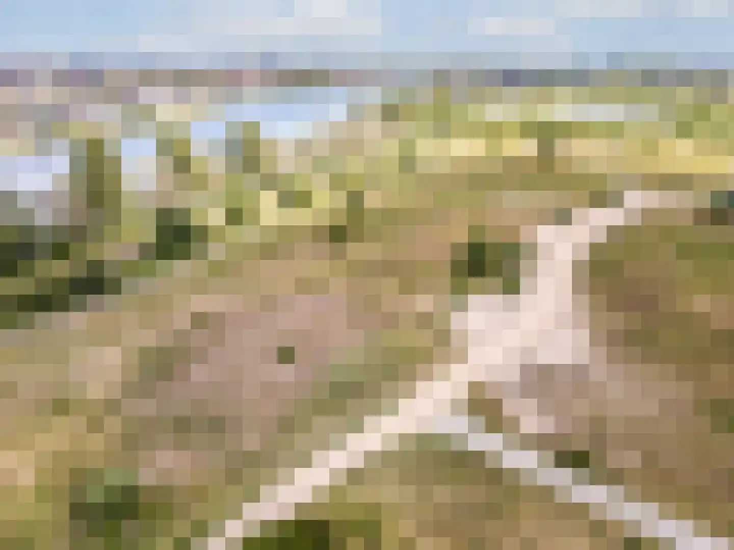 IJburglaan 753 Amsterdam thumbnail 46