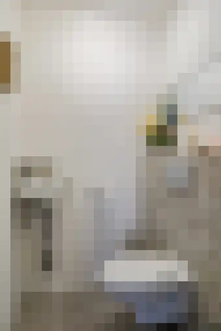 IJburglaan 755 Amsterdam thumbnail 15