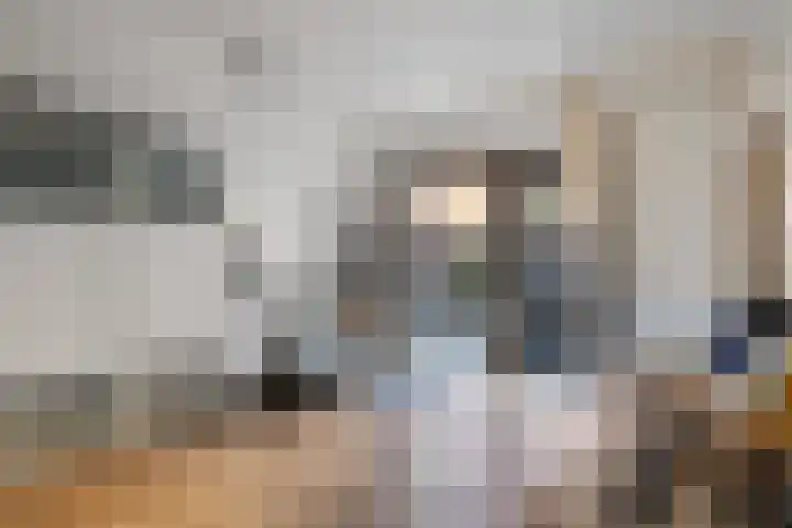 IJburglaan 755 Amsterdam thumbnail 21