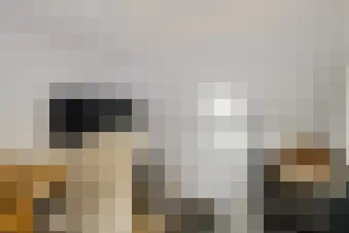 IJburglaan 755 Amsterdam thumbnail 25
