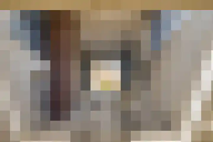 IJburglaan 755 Amsterdam thumbnail 41