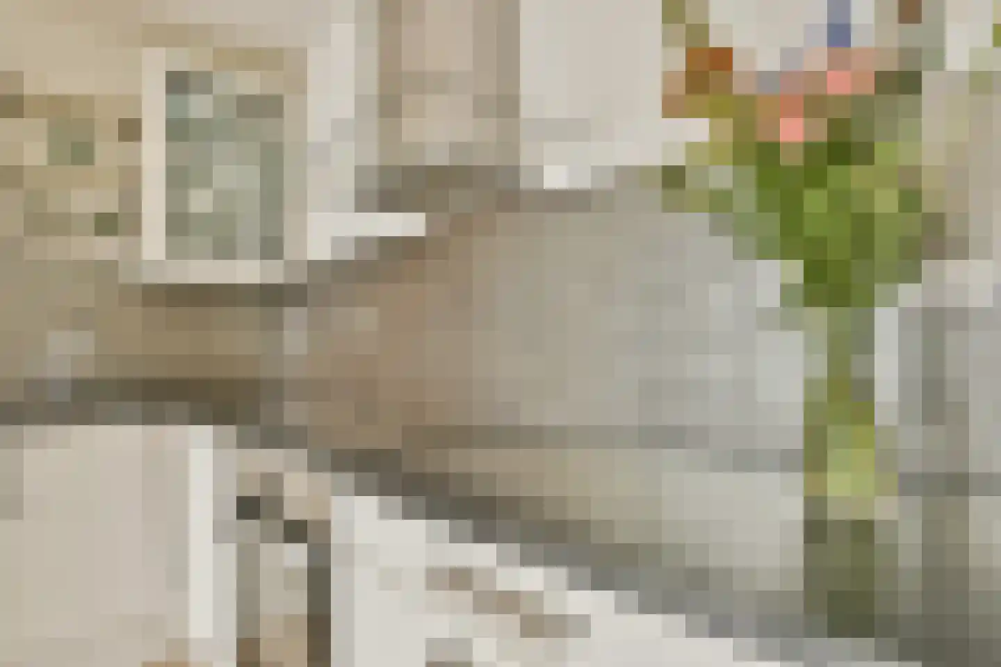 IJburglaan 765 Amsterdam thumbnail 8