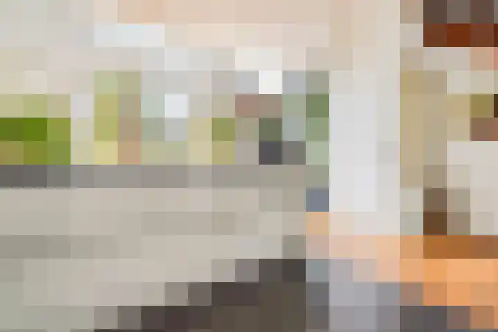 IJburglaan 782 Amsterdam thumbnail 12