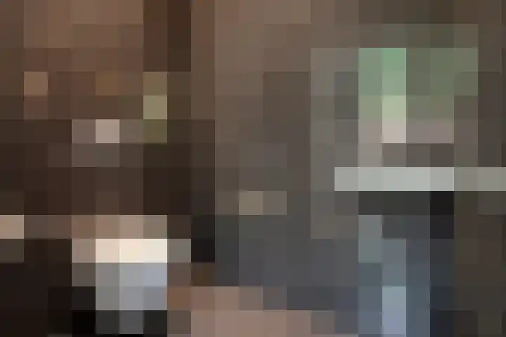 IJburglaan 782 Amsterdam thumbnail 16