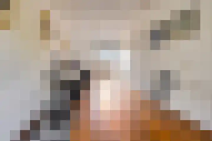 IJburglaan 782 Amsterdam thumbnail 32