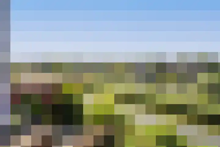 IJburglaan 782 Amsterdam thumbnail 35