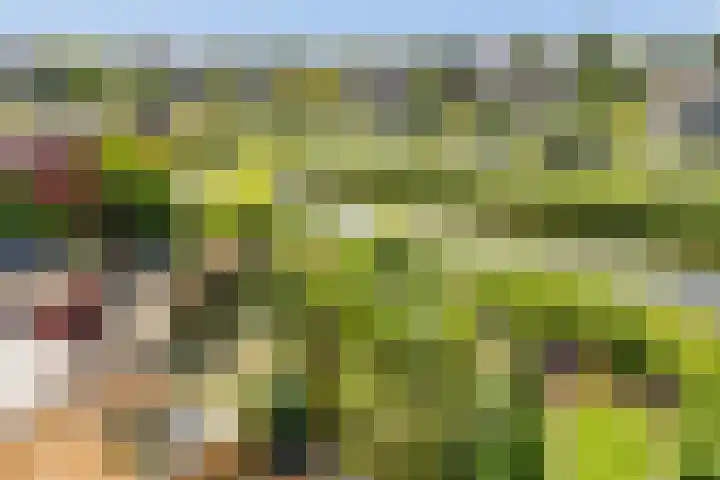IJburglaan 782 Amsterdam thumbnail 37