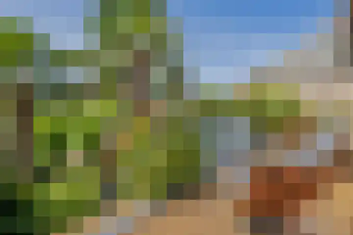 IJburglaan 782 Amsterdam thumbnail 5