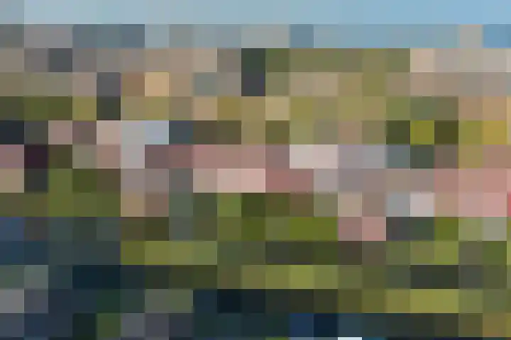 IJburglaan 782 Amsterdam thumbnail 52