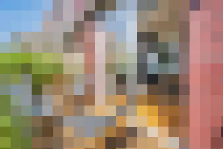 IJburglaan 782 Amsterdam thumbnail 53