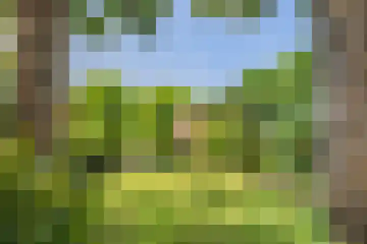 IJburglaan 782 Amsterdam thumbnail 55