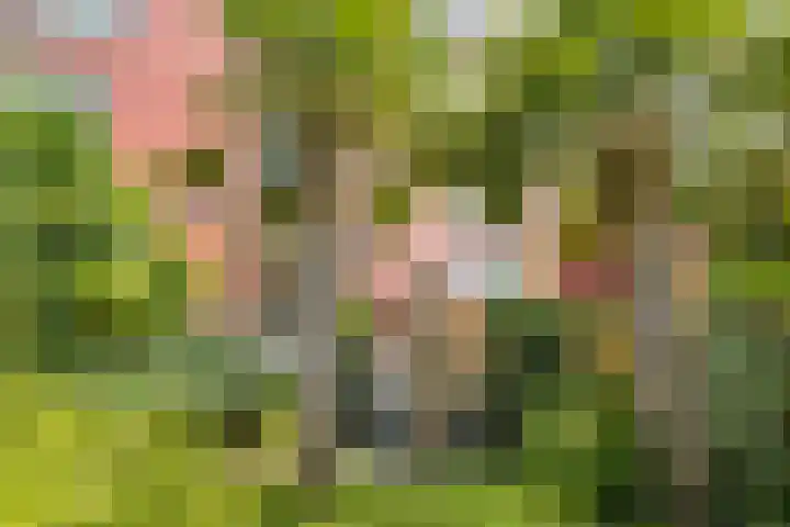 IJburglaan 782 Amsterdam thumbnail 56