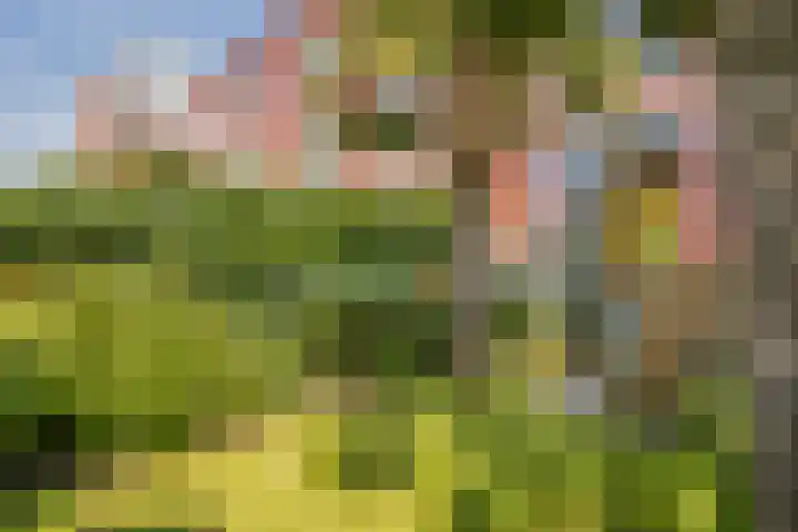 IJburglaan 782 Amsterdam thumbnail 57