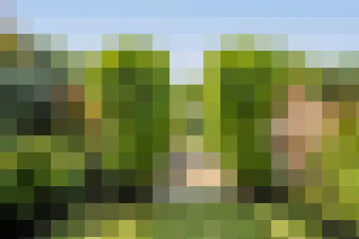 IJburglaan 782 Amsterdam thumbnail 58