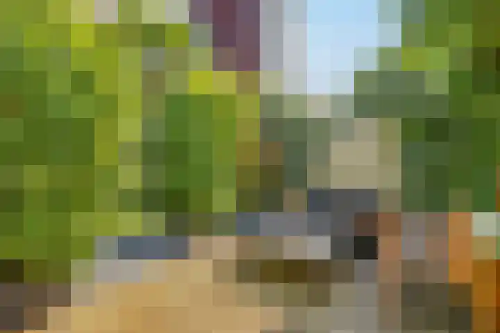 IJburglaan 782 Amsterdam thumbnail 59