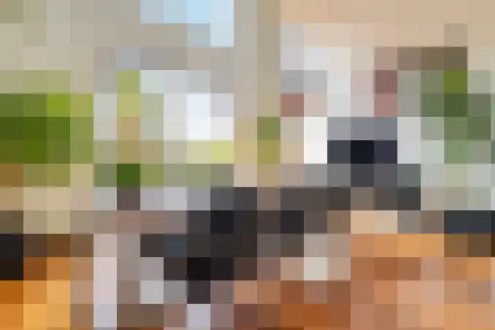 IJburglaan 782 Amsterdam thumbnail 6