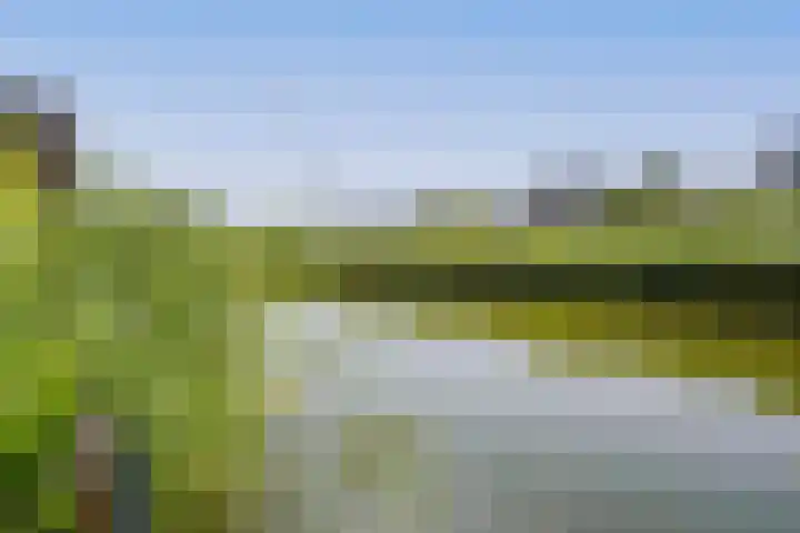IJburglaan 782 Amsterdam thumbnail 64