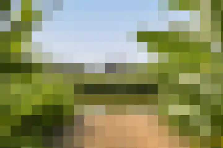 IJburglaan 782 Amsterdam thumbnail 65