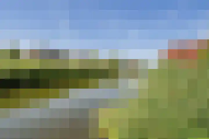 IJburglaan 782 Amsterdam thumbnail 66
