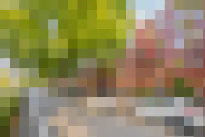 IJburglaan 782 Amsterdam thumbnail 74