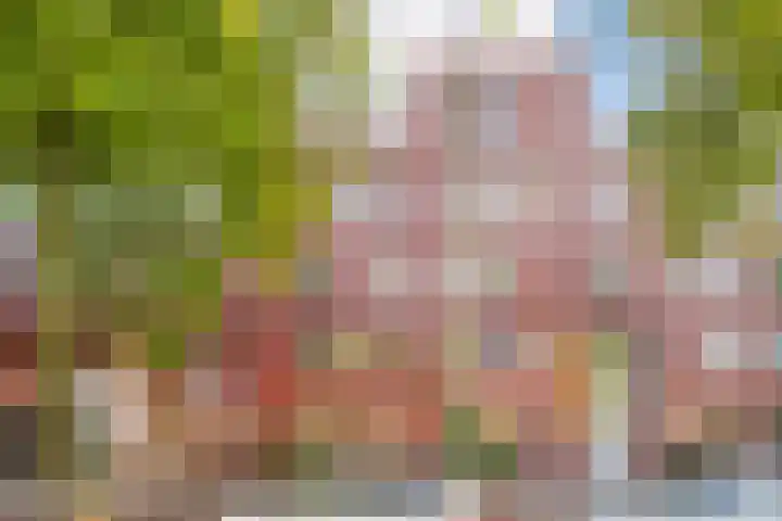IJburglaan 782 Amsterdam thumbnail 75