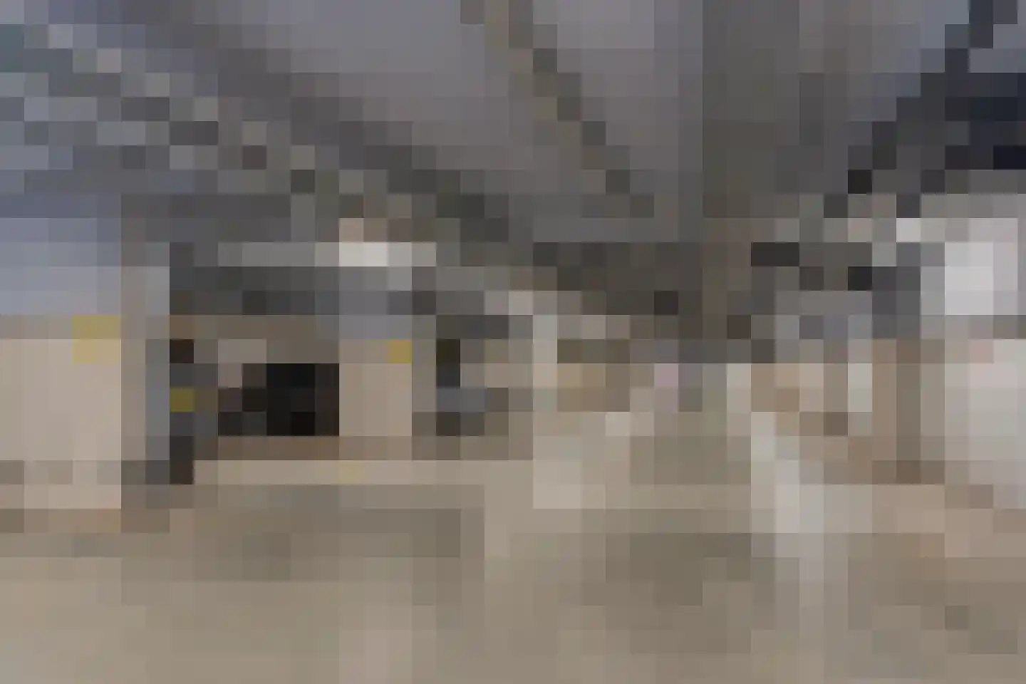 IJburglaan 794 Amsterdam thumbnail 47