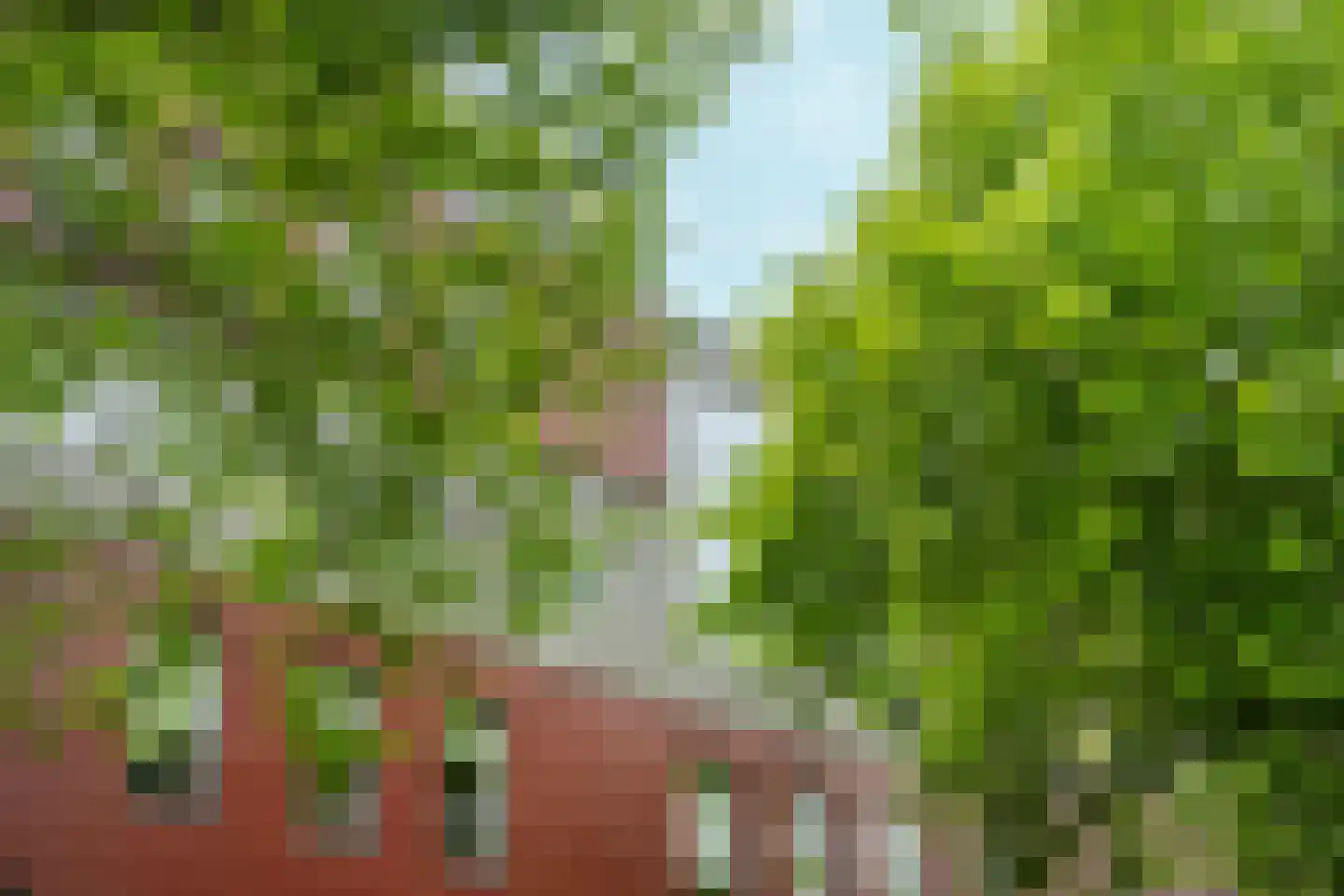IJburglaan 794 Amsterdam thumbnail 50