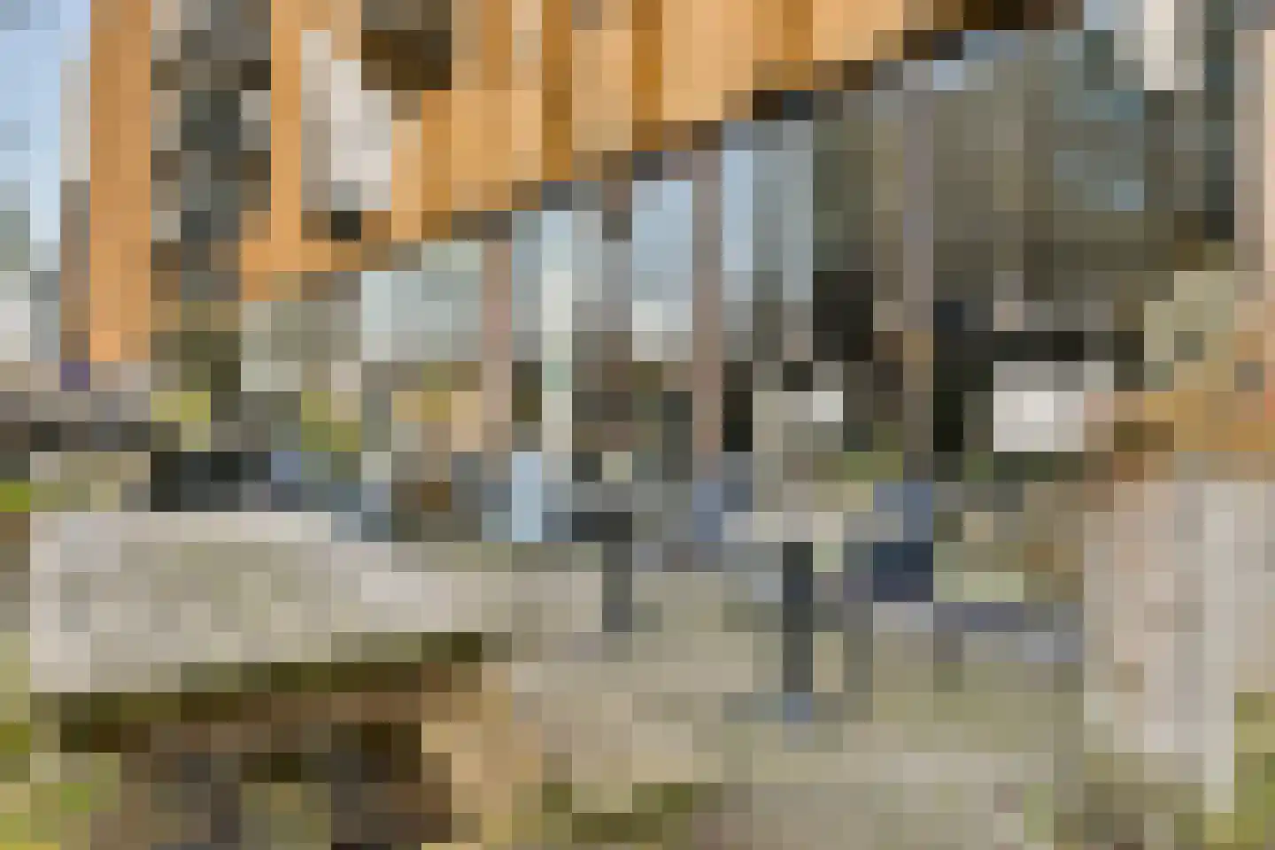 IJburglaan 794 Amsterdam thumbnail 59