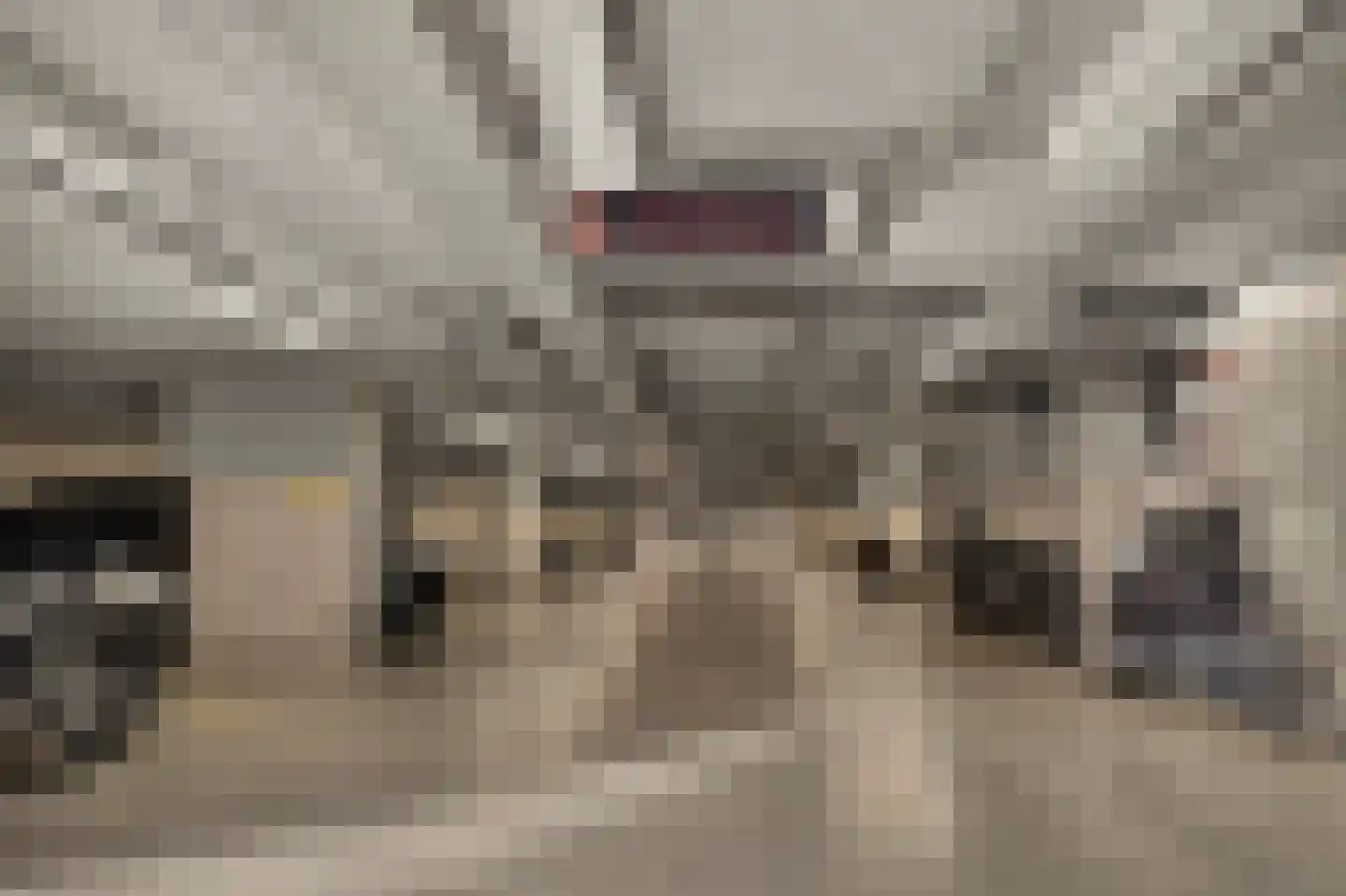 IJburglaan 808 Amsterdam thumbnail 42