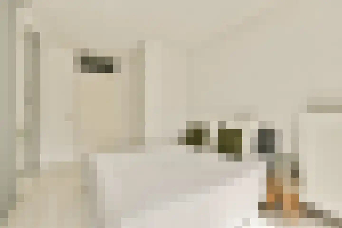 IJburglaan 819 Amsterdam thumbnail 19
