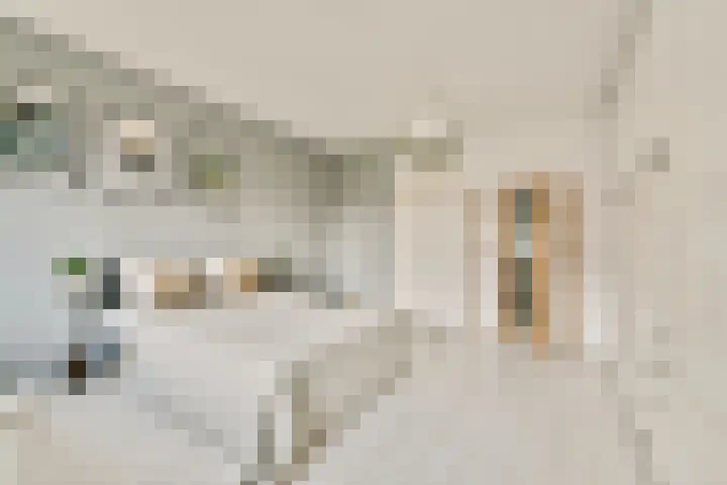 IJburglaan 819 Amsterdam thumbnail 26