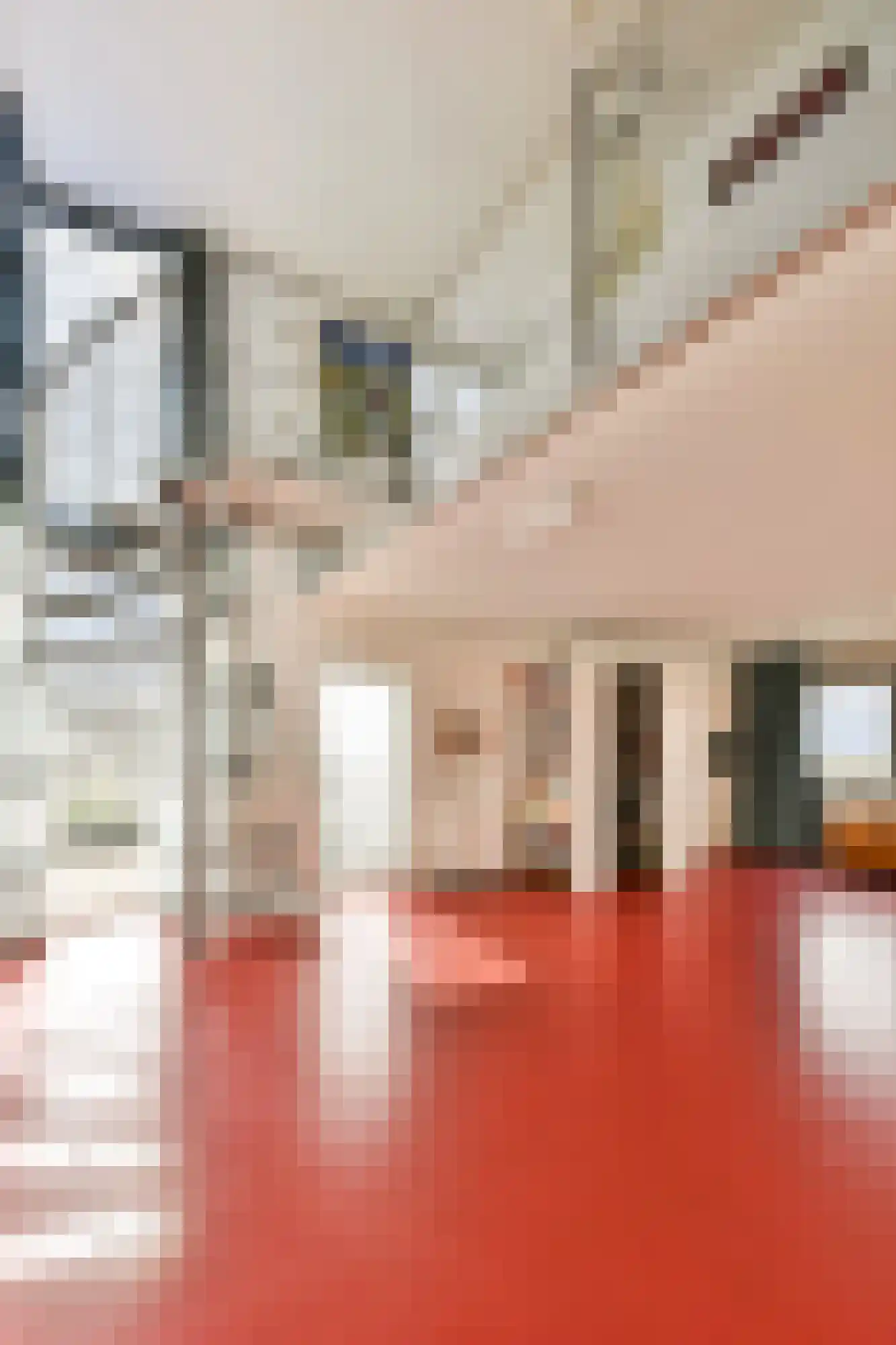 IJburglaan 830 Amsterdam thumbnail 13