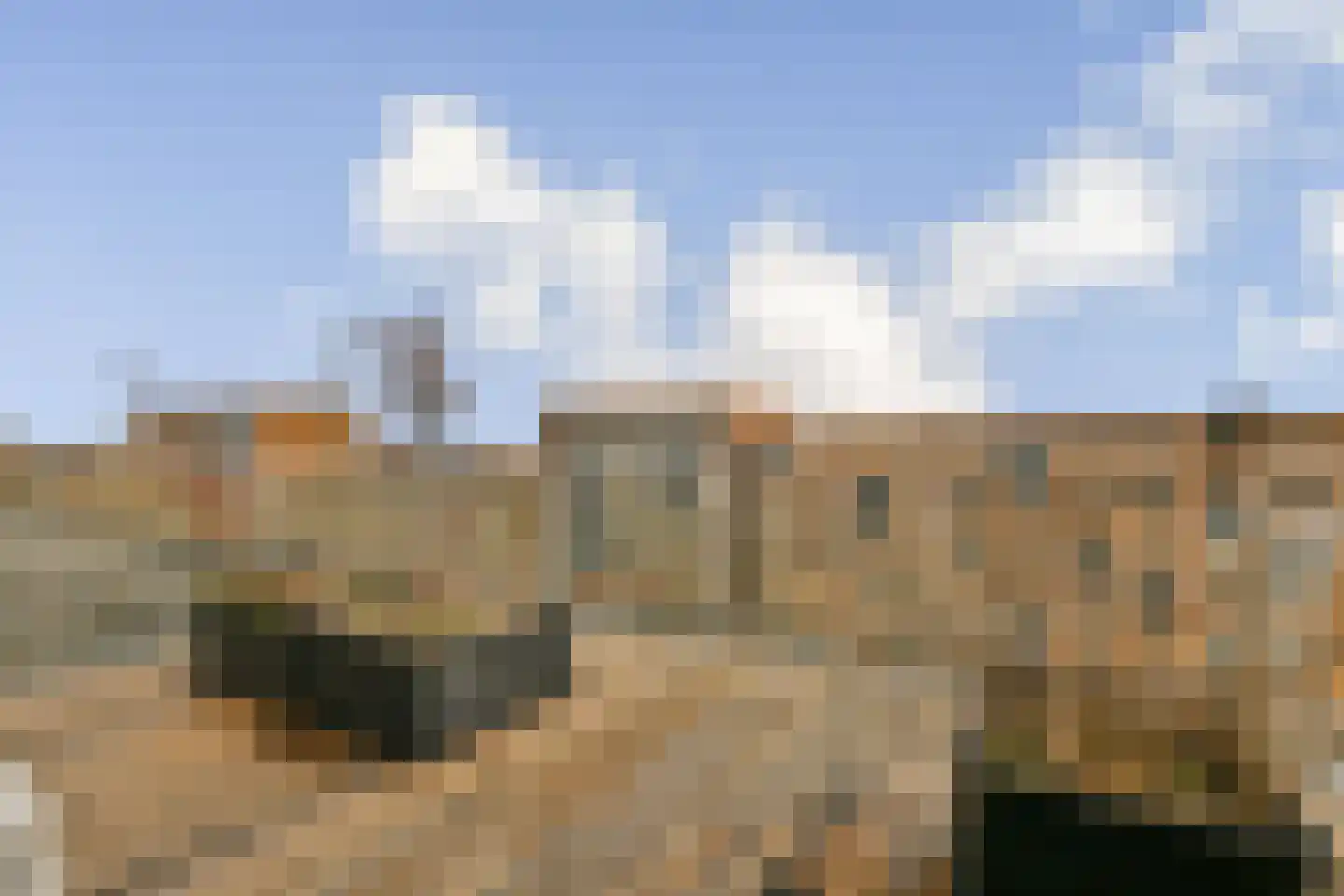 IJburglaan 830 Amsterdam thumbnail 18