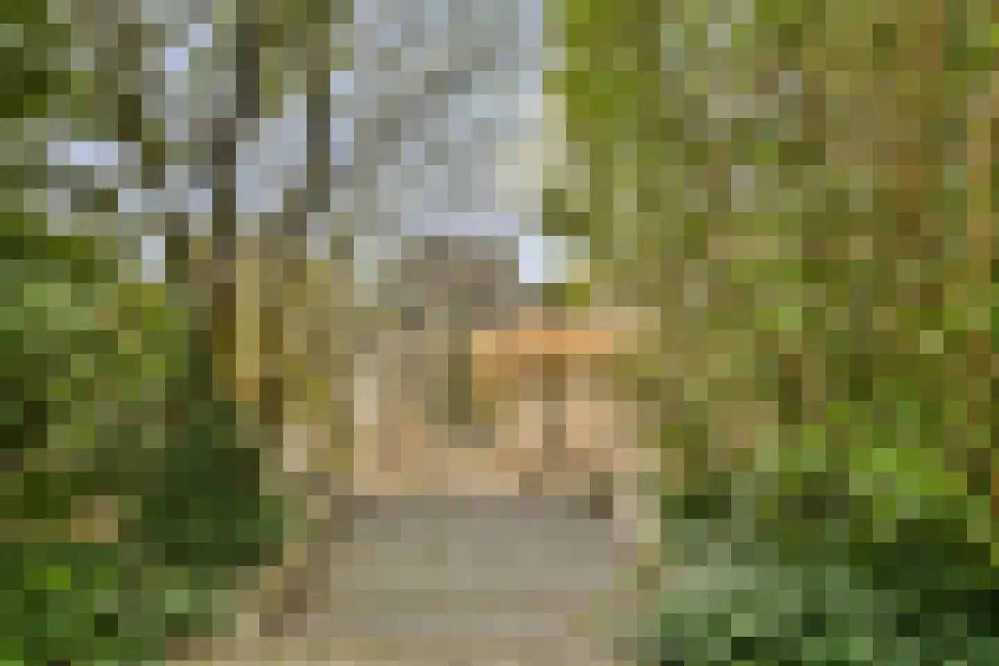 IJburglaan 830 Amsterdam thumbnail 34
