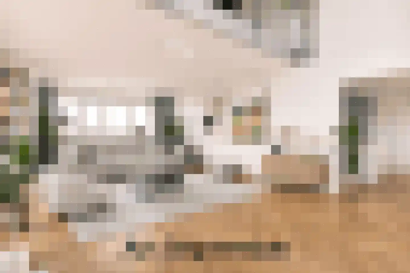 IJburglaan 830 Amsterdam thumbnail 7