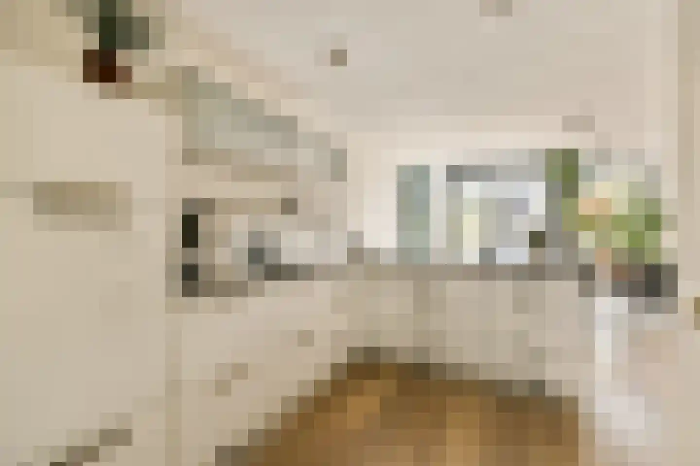 IJburglaan 850 Amsterdam thumbnail 12