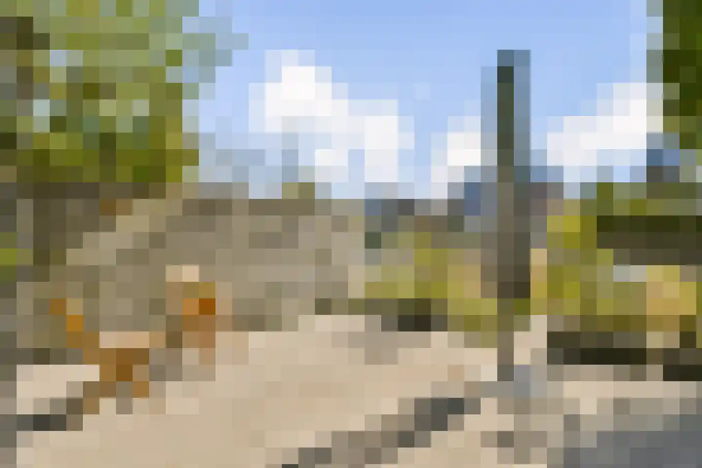 IJburglaan 850 Amsterdam thumbnail 15