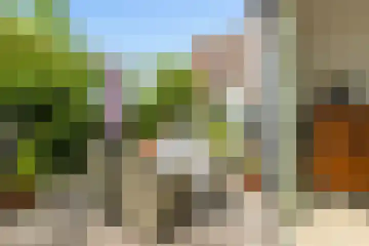 IJburglaan 852 Amsterdam thumbnail 10
