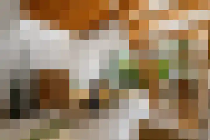 IJburglaan 852 Amsterdam thumbnail 12