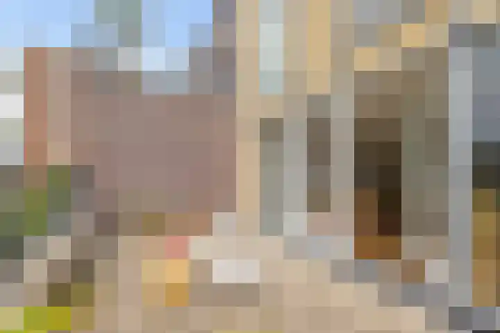 IJburglaan 852 Amsterdam thumbnail 21