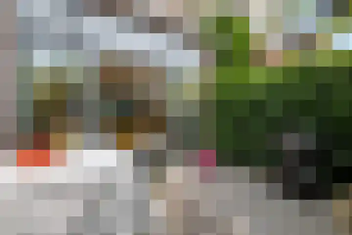 IJburglaan 852 Amsterdam thumbnail 58