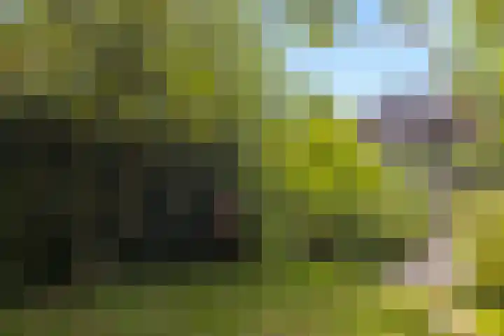 IJburglaan 852 Amsterdam thumbnail 60