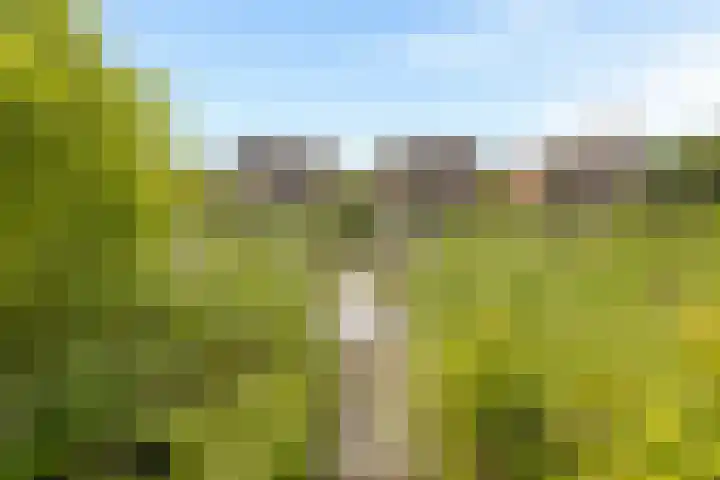 IJburglaan 852 Amsterdam thumbnail 61