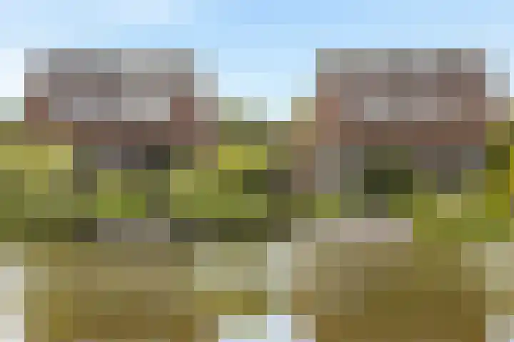 IJburglaan 852 Amsterdam thumbnail 63